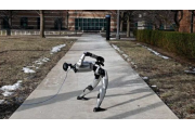 起き上がることを学ぶヒューマノイドロボット